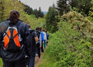 Gdzie znajdę browary rzemieślnicze w regionie?