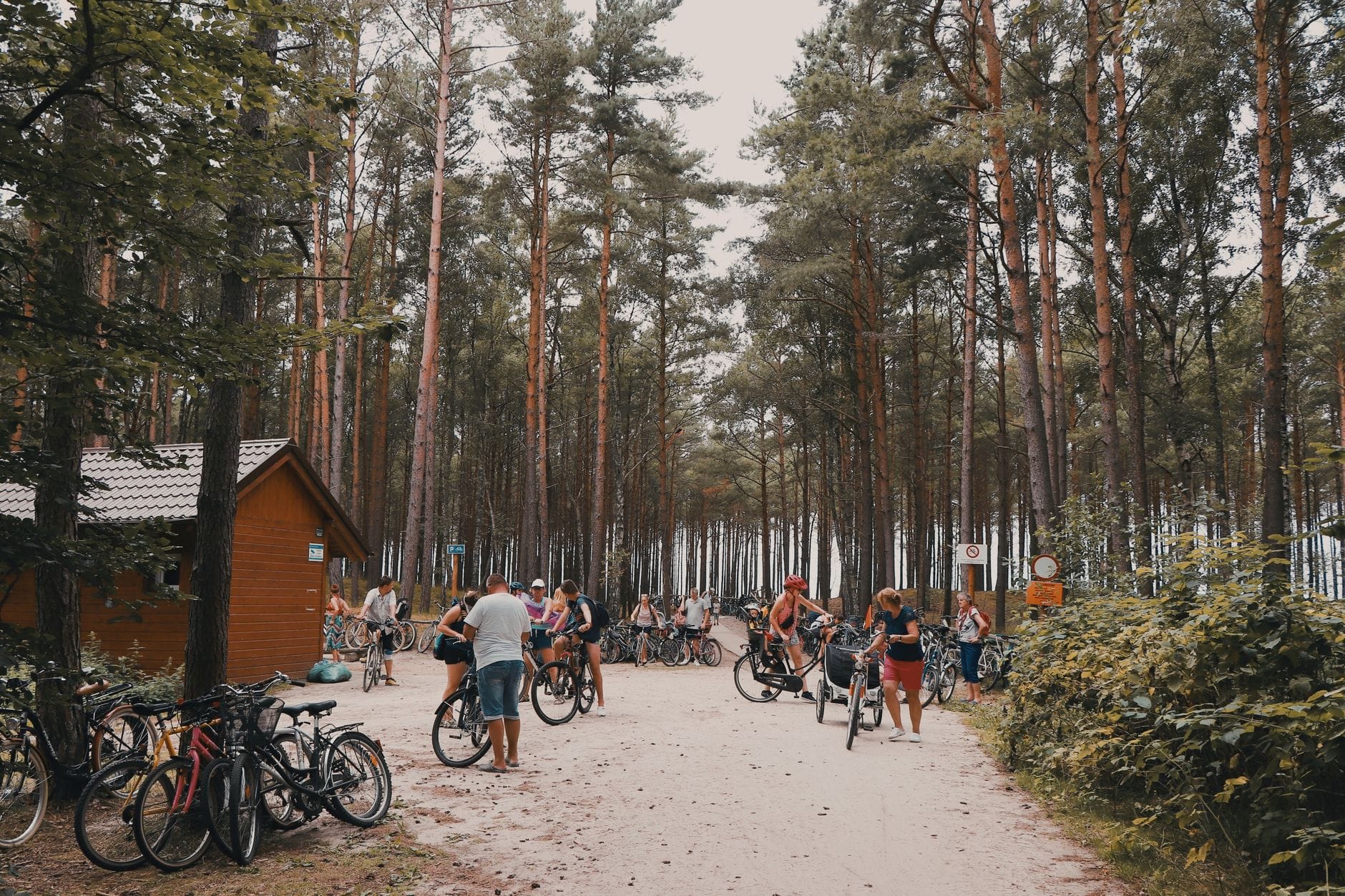 Grupa rowerzystów zatrzymana na leśnej polanie w okolicach Głogowa