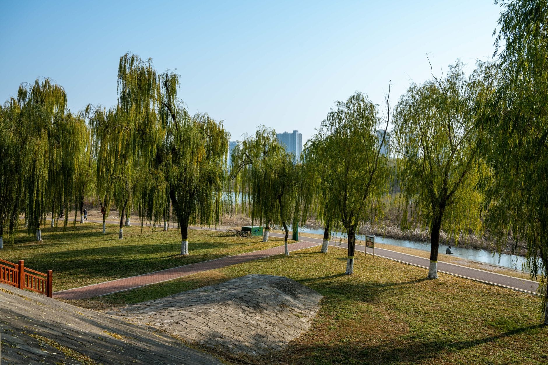 Słoneczny park nad rzeką w Bolesławcu z wierzbami i alejkami spacerowymi